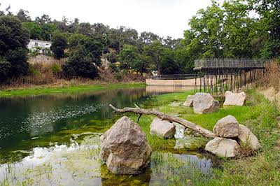 Rehabilitació d’un cobert per a magatzem, sanitari i habitacle per a la nidificació de rapinyaires a l’Escola de Natura de Can Grau